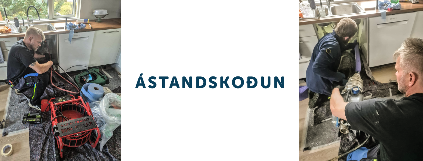 Forsíða